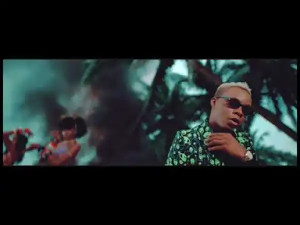 Video: Terri – Bia